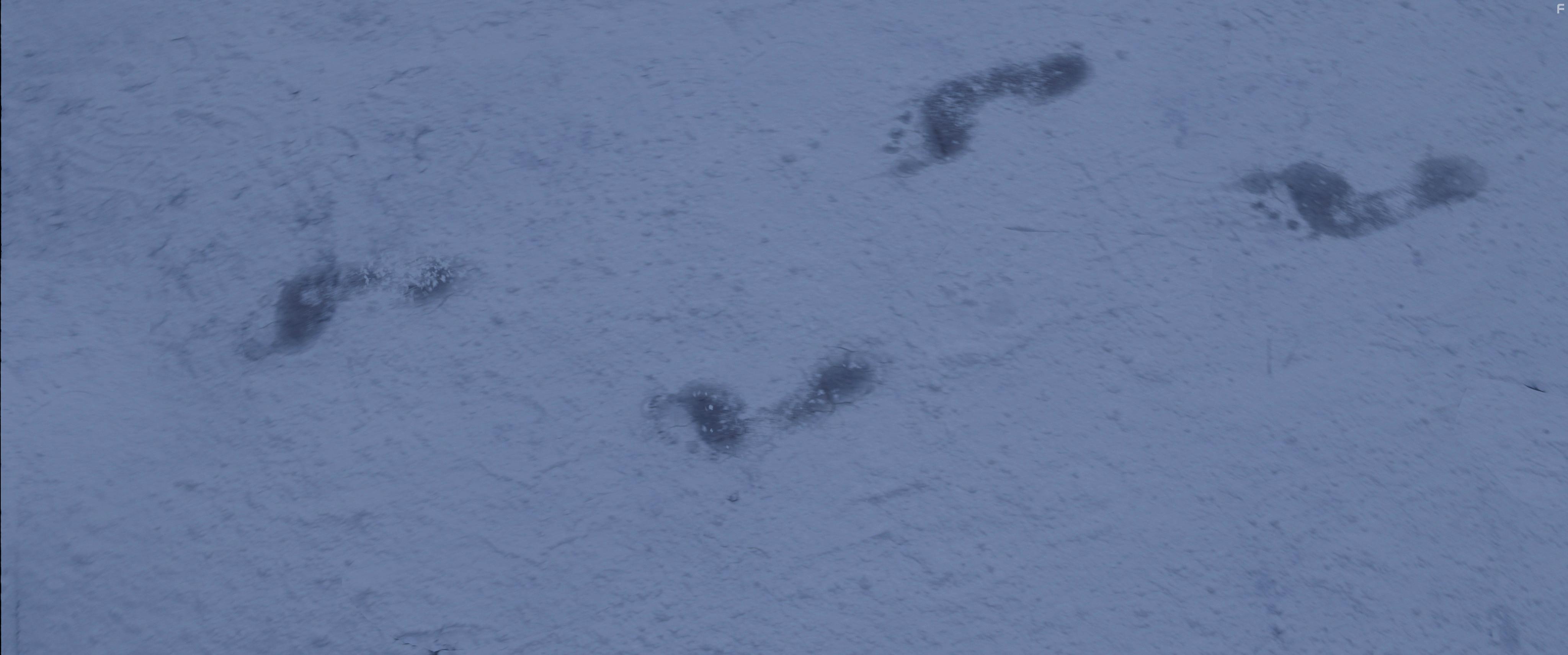 Fear the Invisible Man (2023)