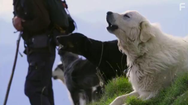 The Snow Wolf: A Winter's Tale (2018)