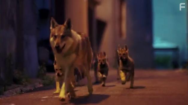 The Snow Wolf: A Winter's Tale (2018)