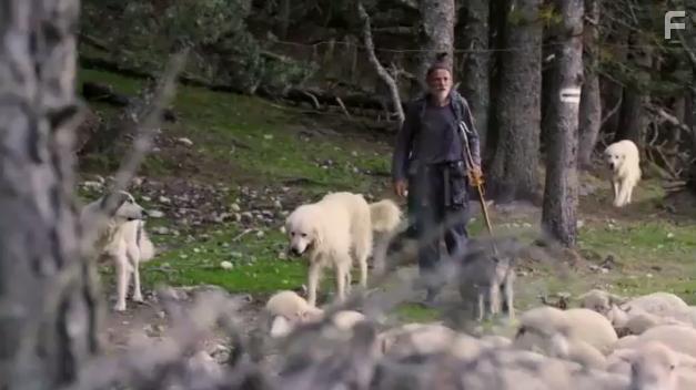 The Snow Wolf: A Winter's Tale (2018)