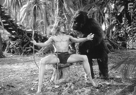 Джордж из джунглей