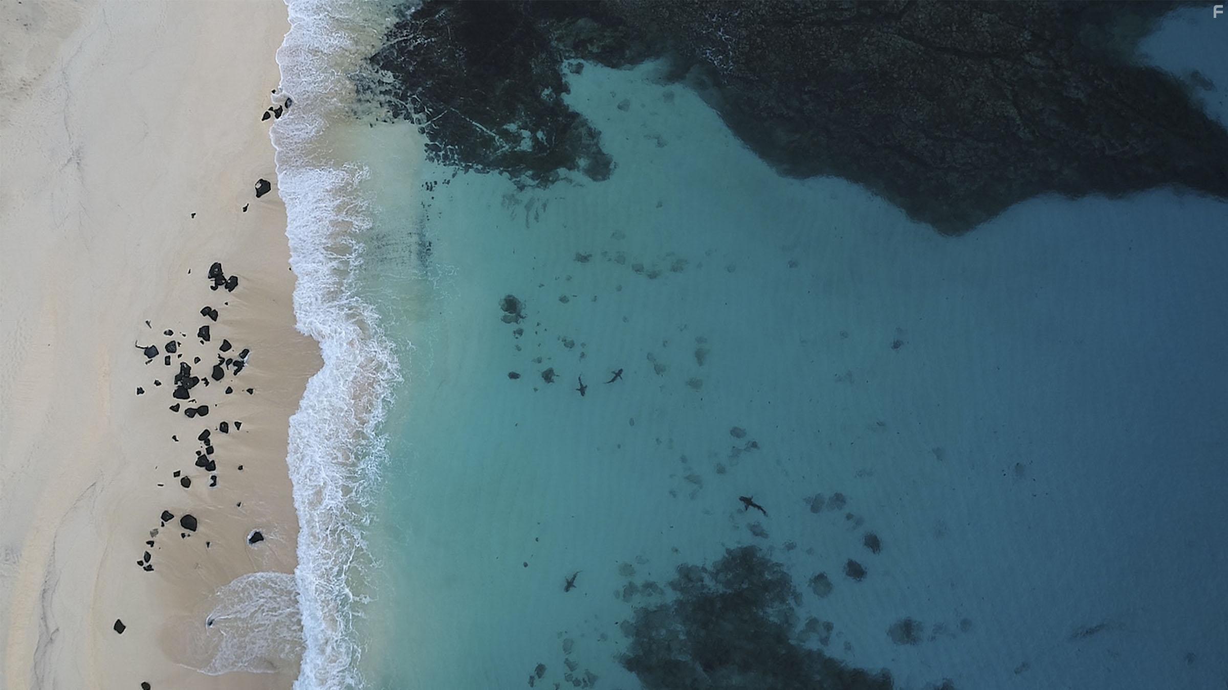 Shark vs Tuna (2018)