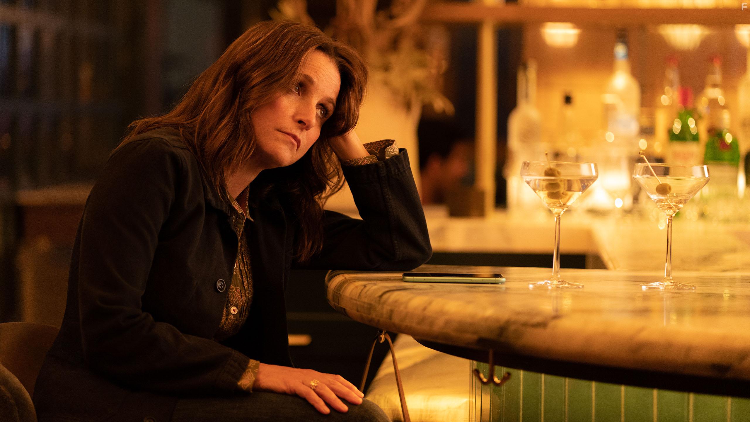 Julia Louis-Dreyfus in You Hurt My Feelings (2023)