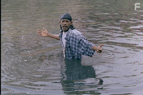 Голливудские копы