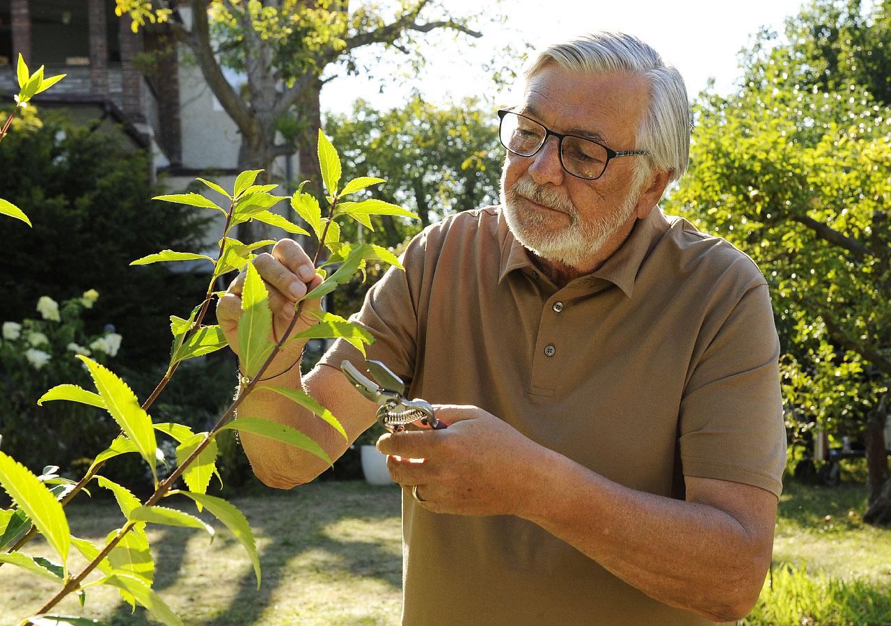 Jir Bartoska in Zboznovan (2021)