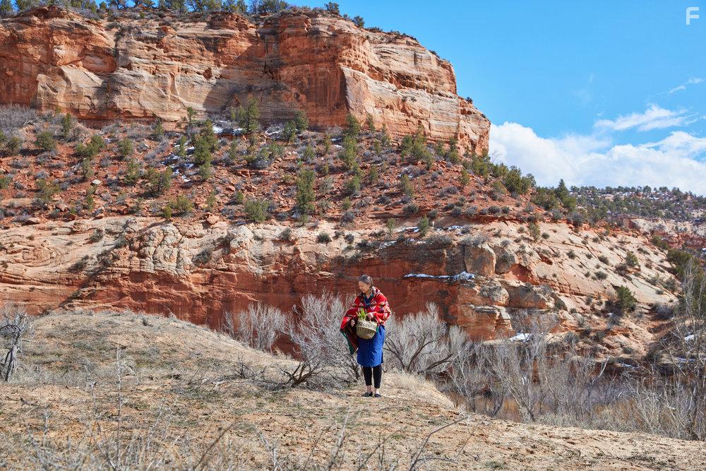 Monique Filips in Love in Zion National: A National Park Romance (2023)
