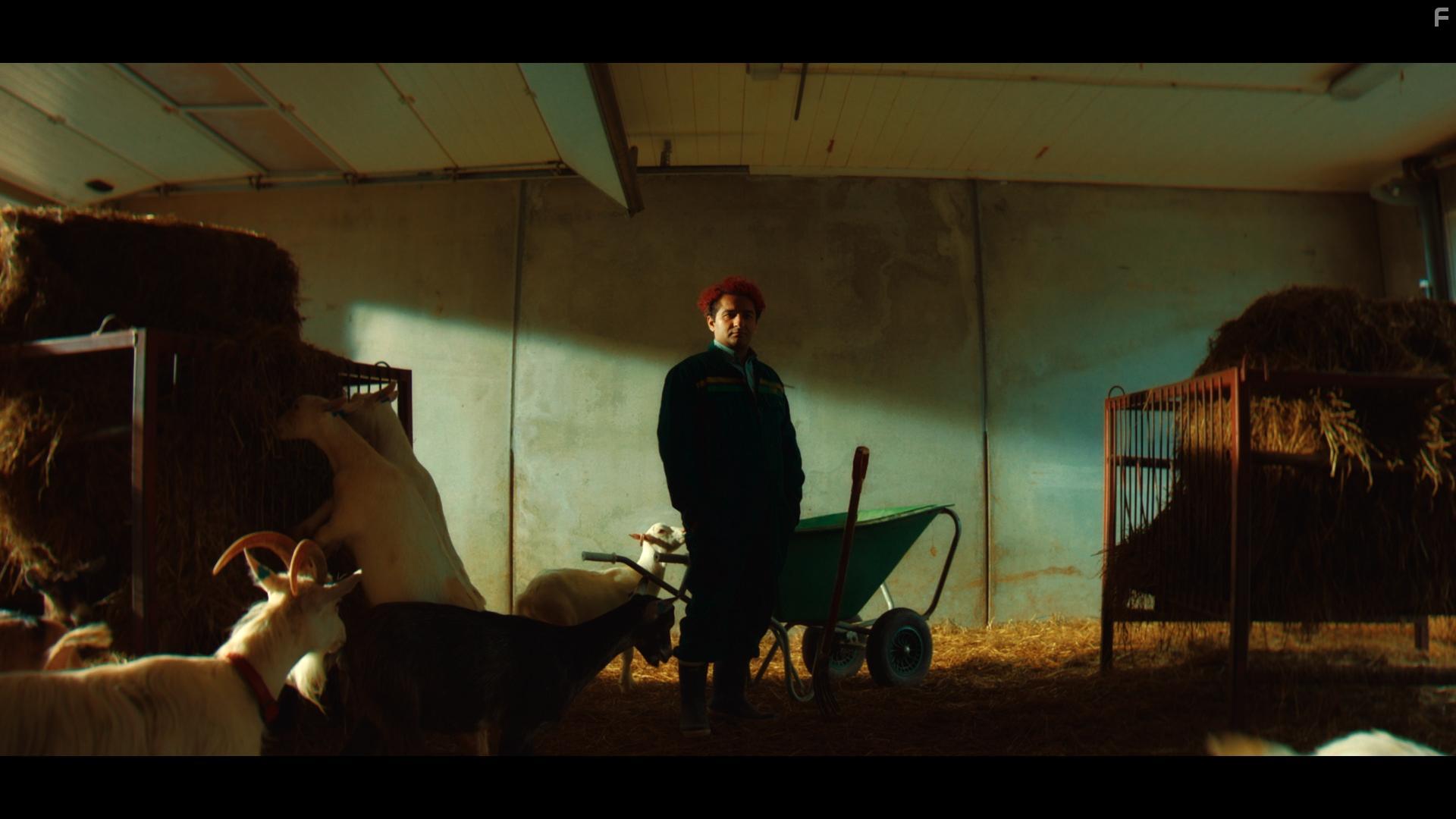 Nader Khademi in Jordbrukerne (2021)