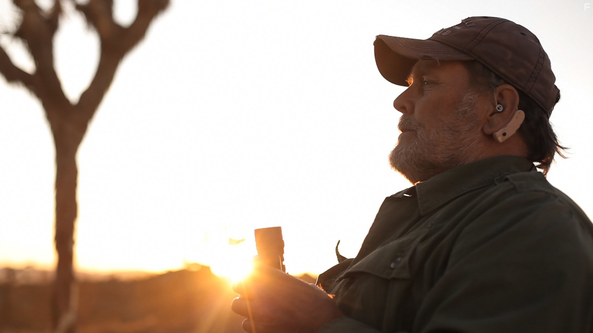 Wings Hauser in Шина (2010)