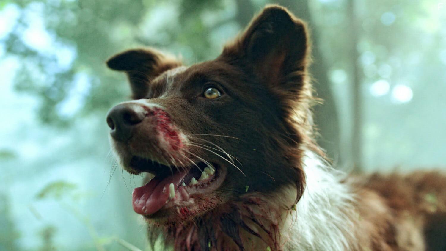 Замаячный #6