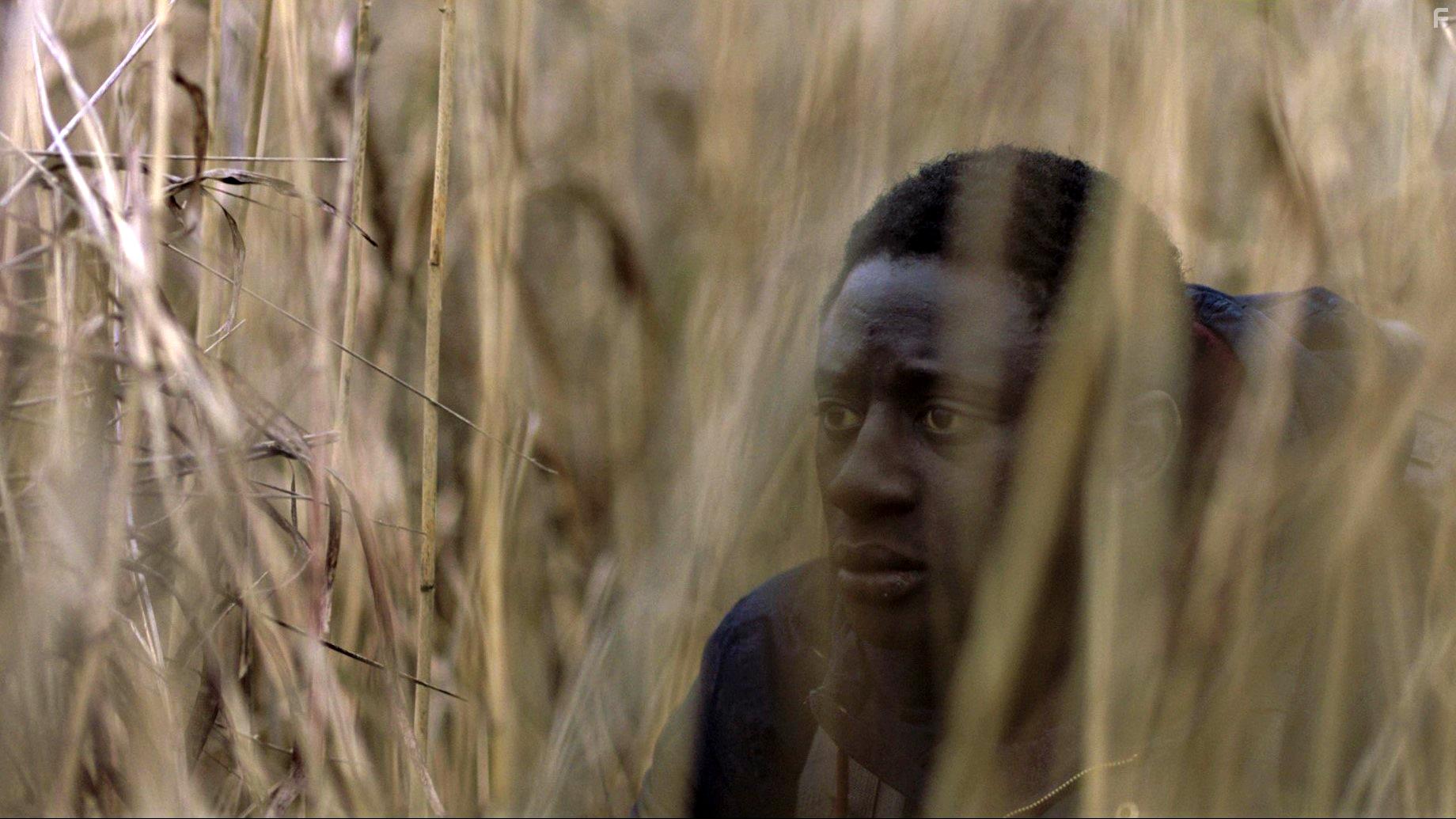 Ibrahim Koma in Strahinja Banovic (2021)