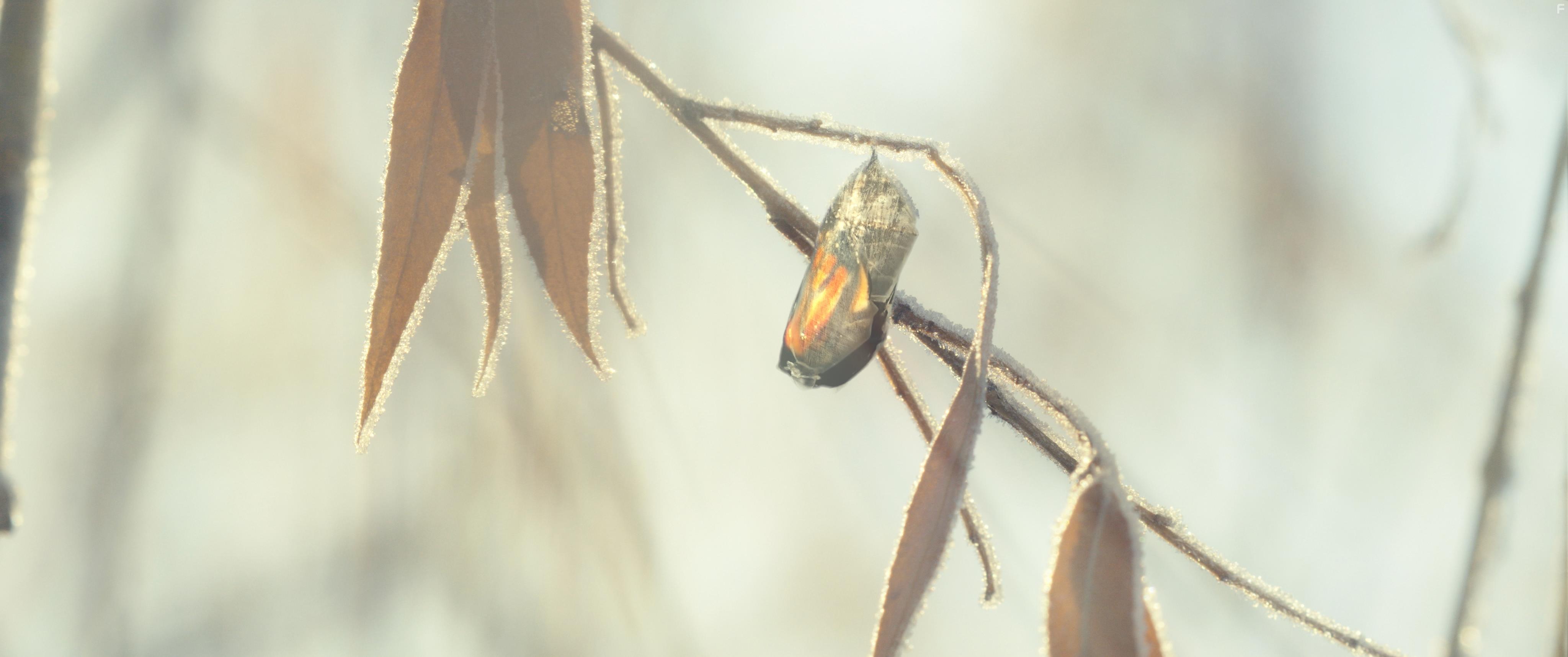 Let Me Have My Son (2023)