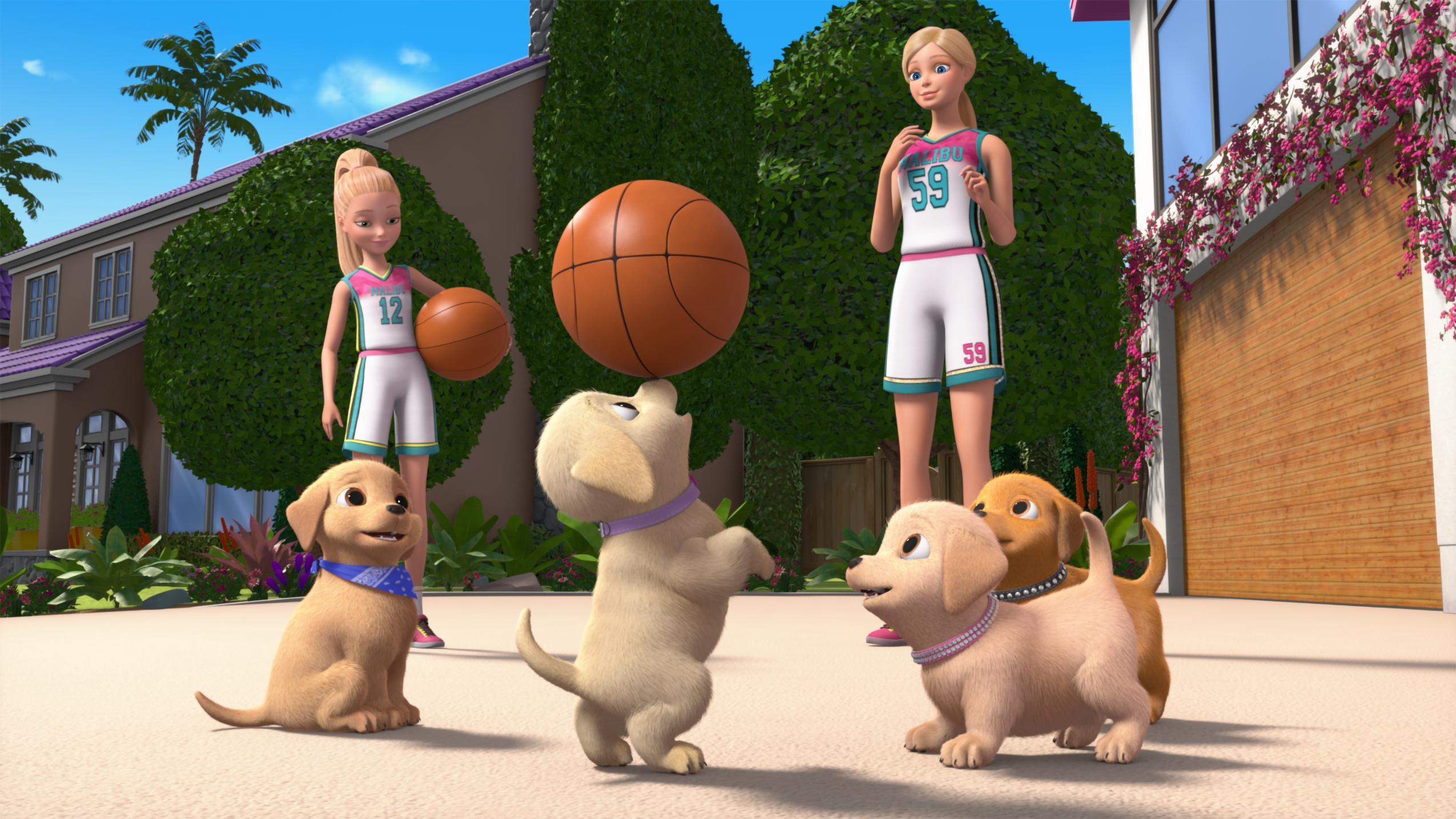 Barbie Dreamhouse Adventures: Basket Case (2019)