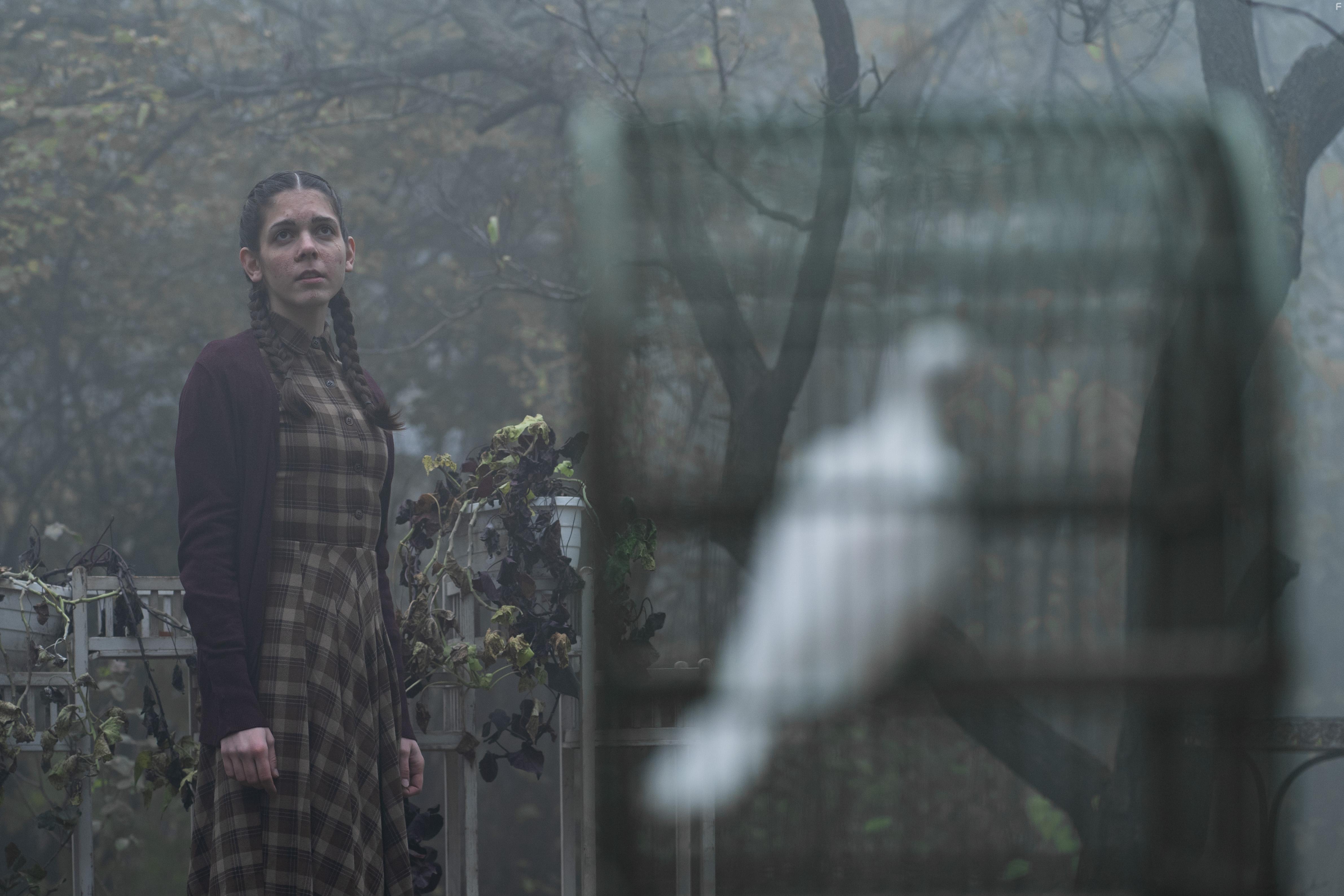 Lilla Pteri in Pacsirta (2022)