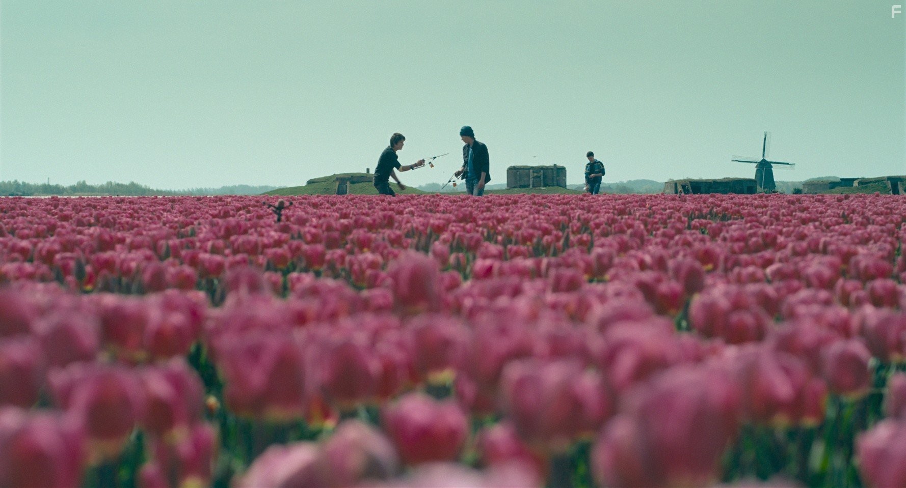 Shocking Blue (2010)