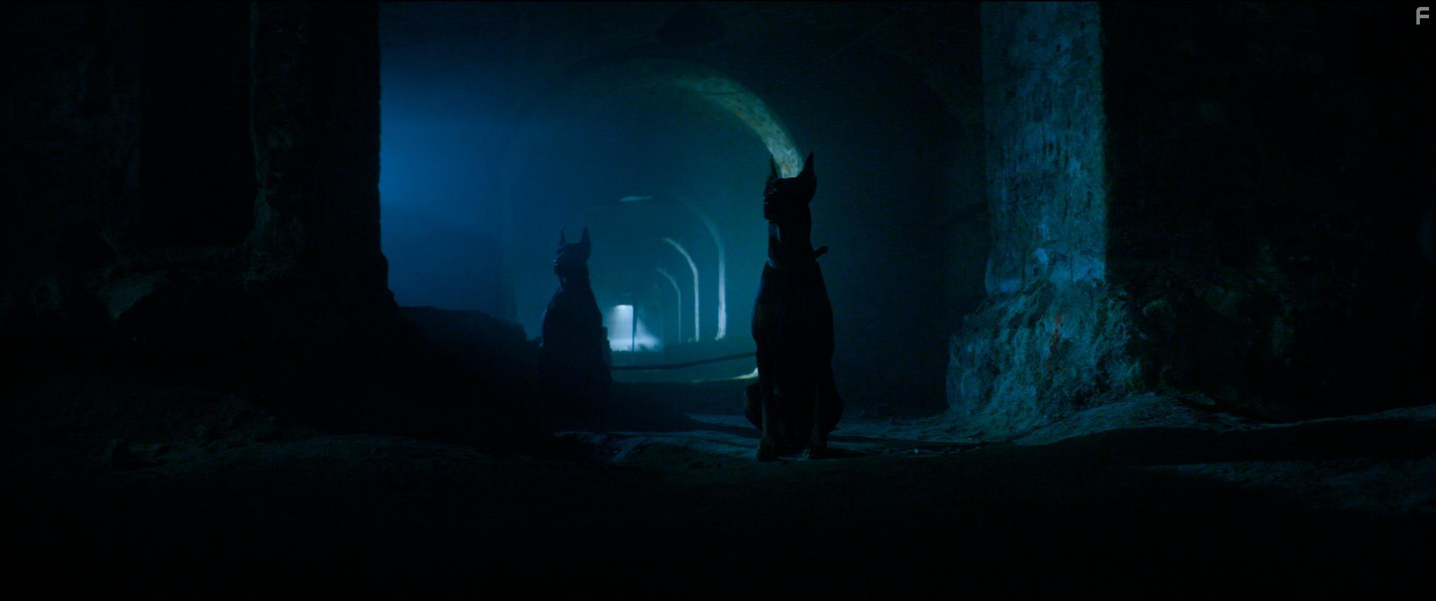 Телекинез #8