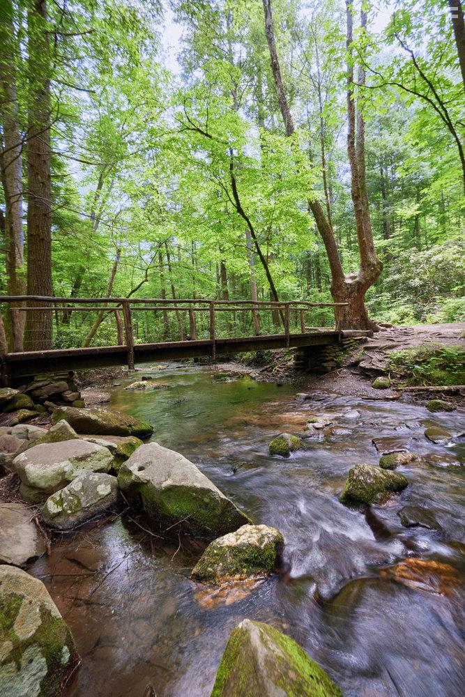 Love in the Great Smoky Mountains: A National Park Romance (2023)