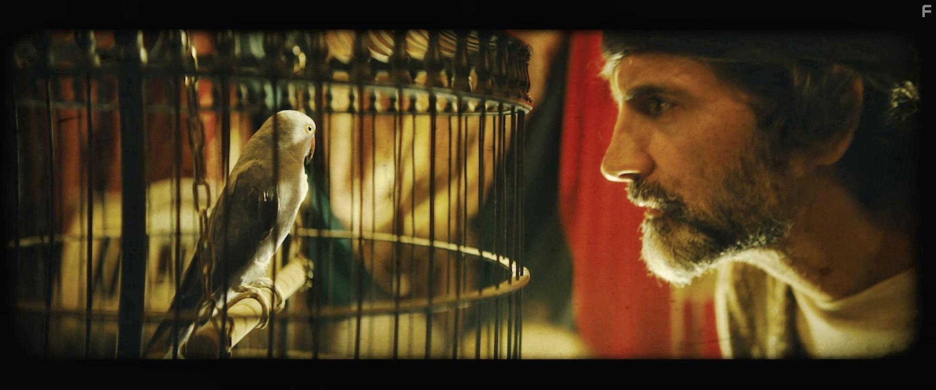 Nandor Fodor and the Talking Mongoose (2023)