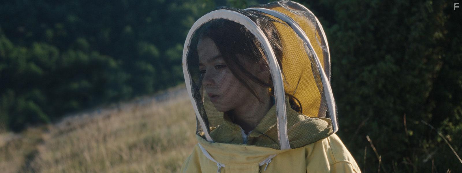 Sofa Otero in 20.000 especies de abejas (2023)