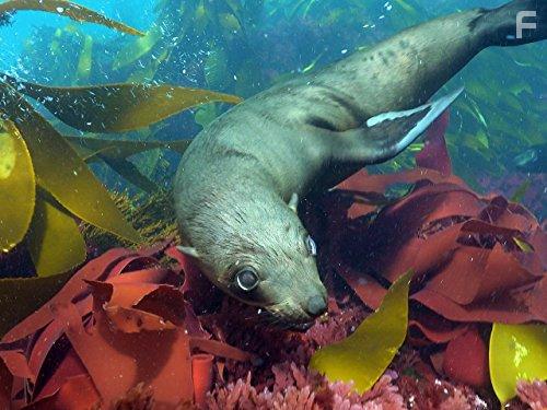 Coastal Africa (2015)