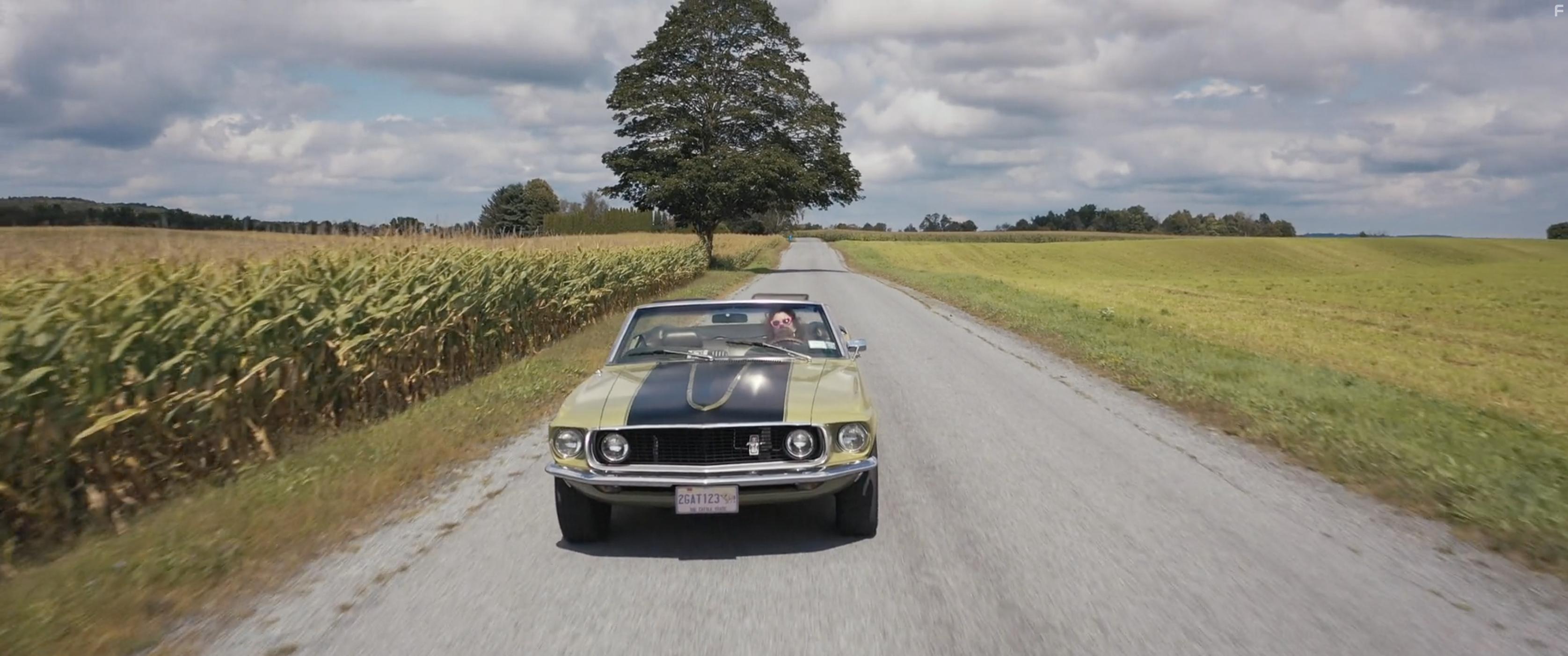 Shelter in Solitude (2023)