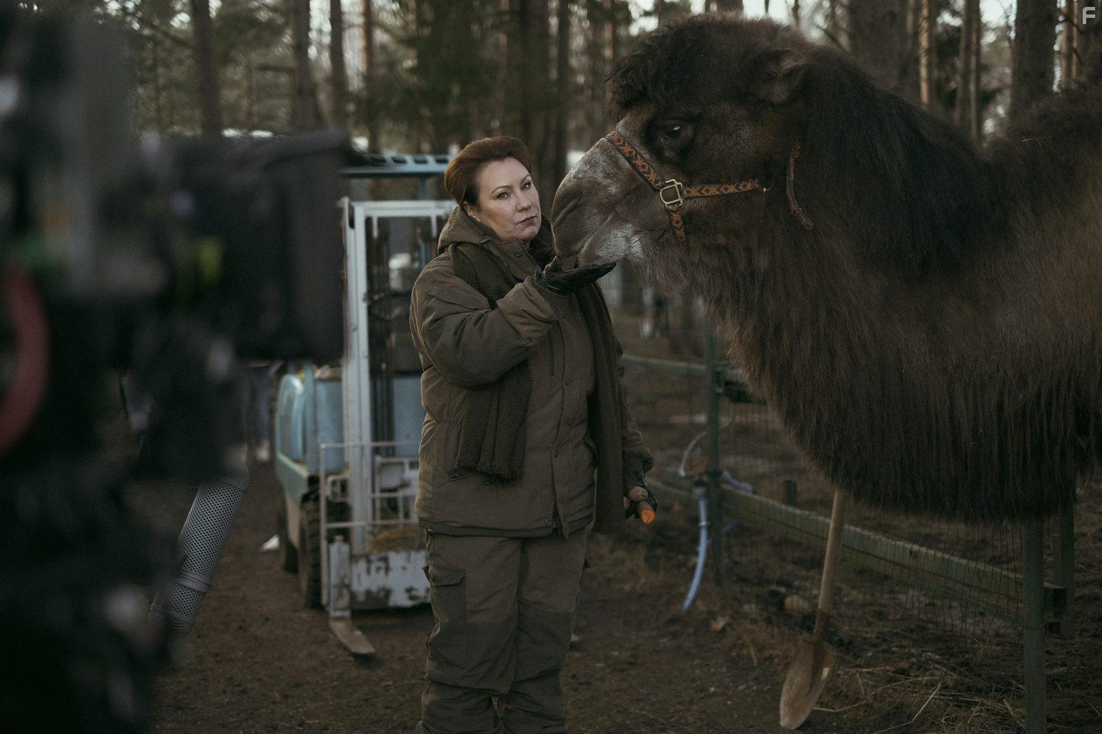 Я — медведь #1