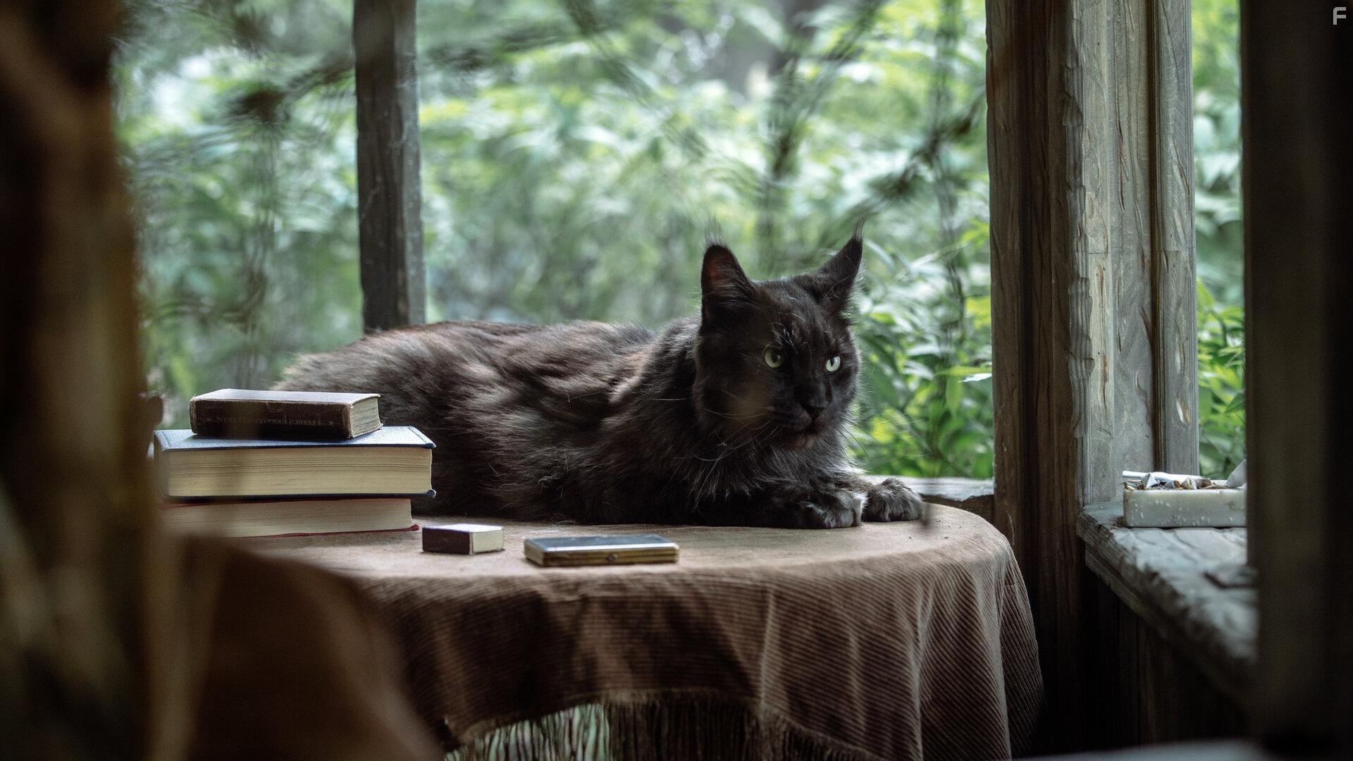 Мастер и Маргарита #1