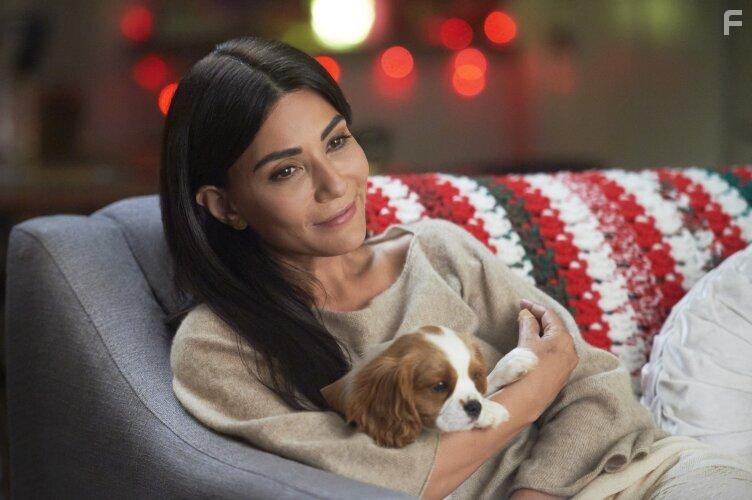 Marisol Nichols in Holly & Ivy (2020)