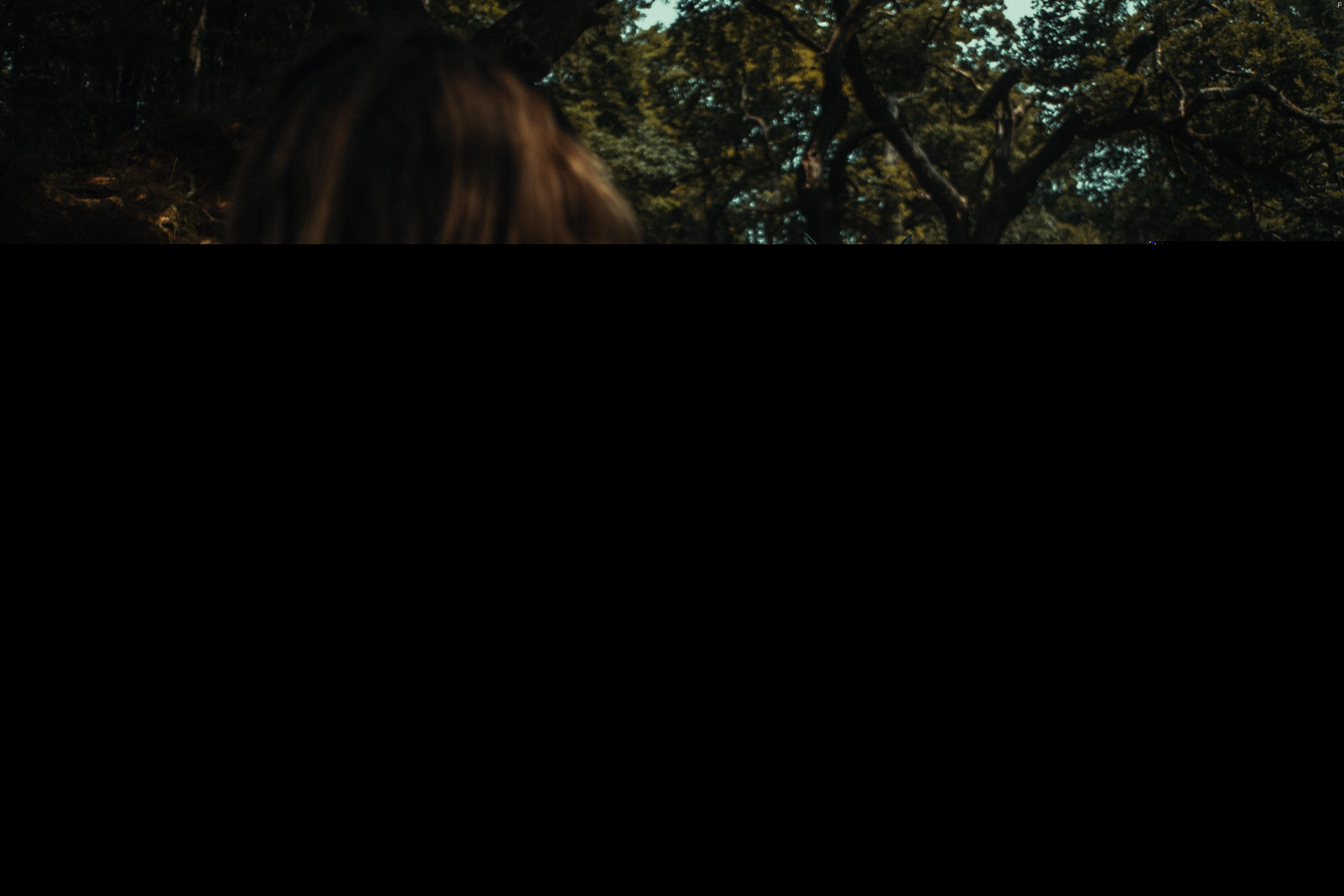 Lizzy Willis and Steve Wraith in Alice in Terrorland (2023)