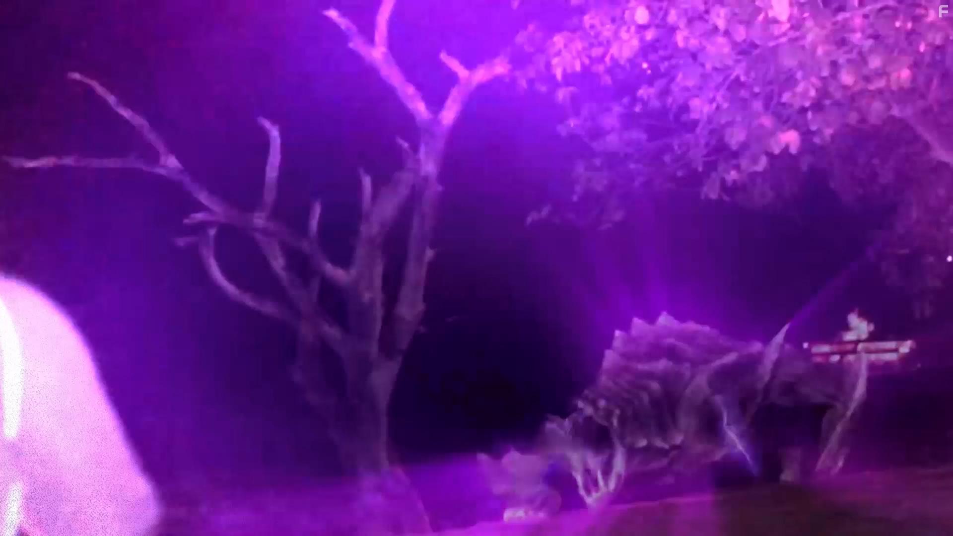 The Barbados Project (2022)