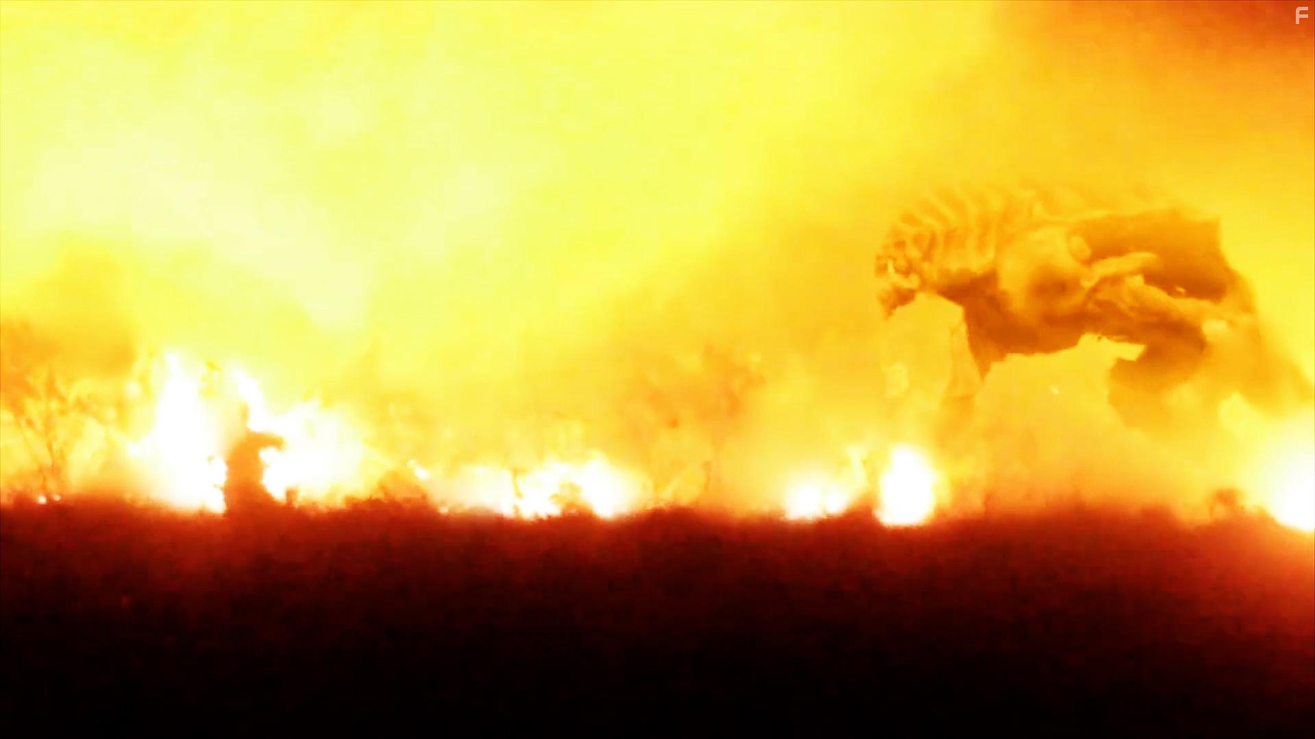 The Barbados Project (2022)