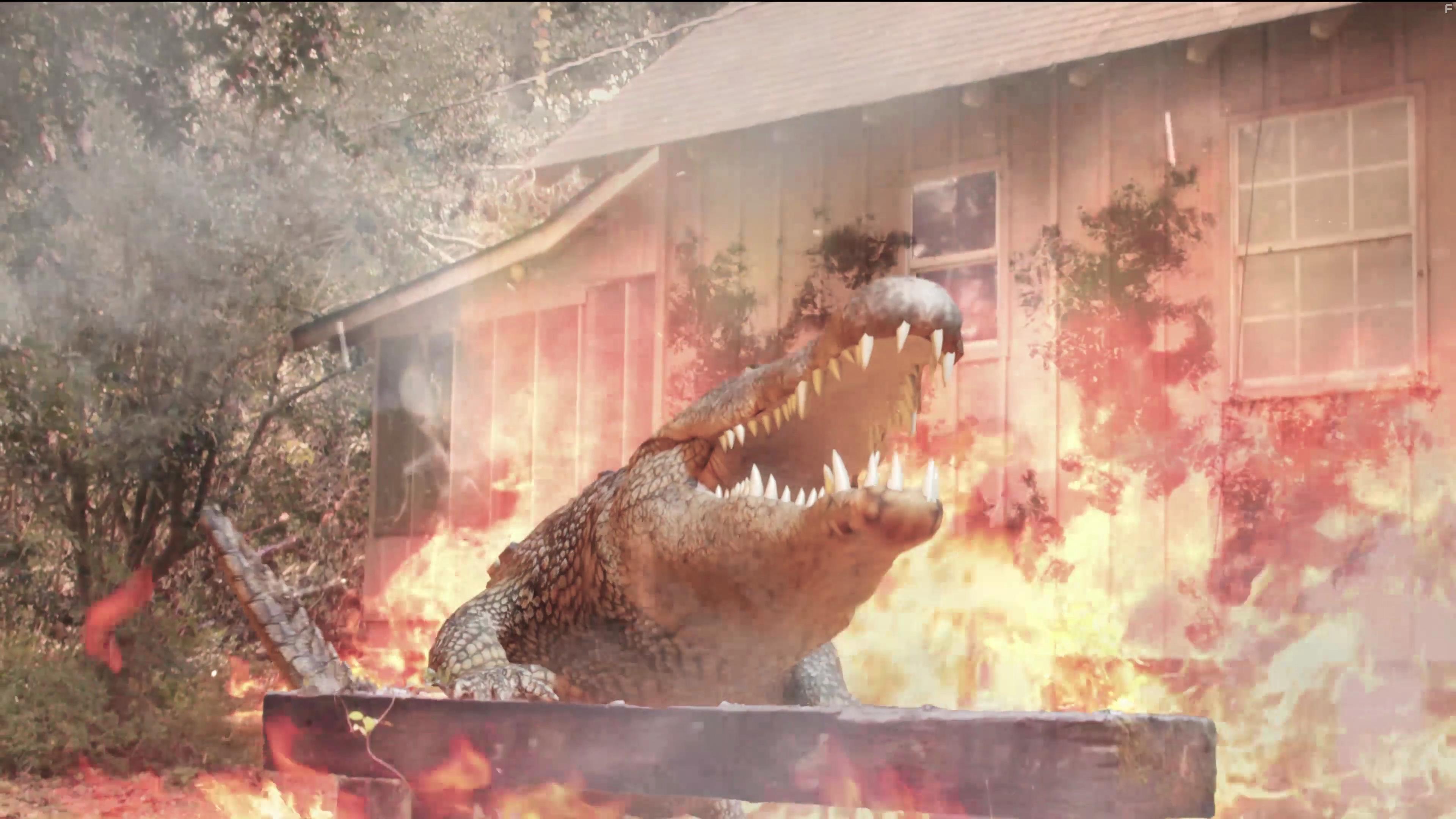 Аллигаторы из канализации