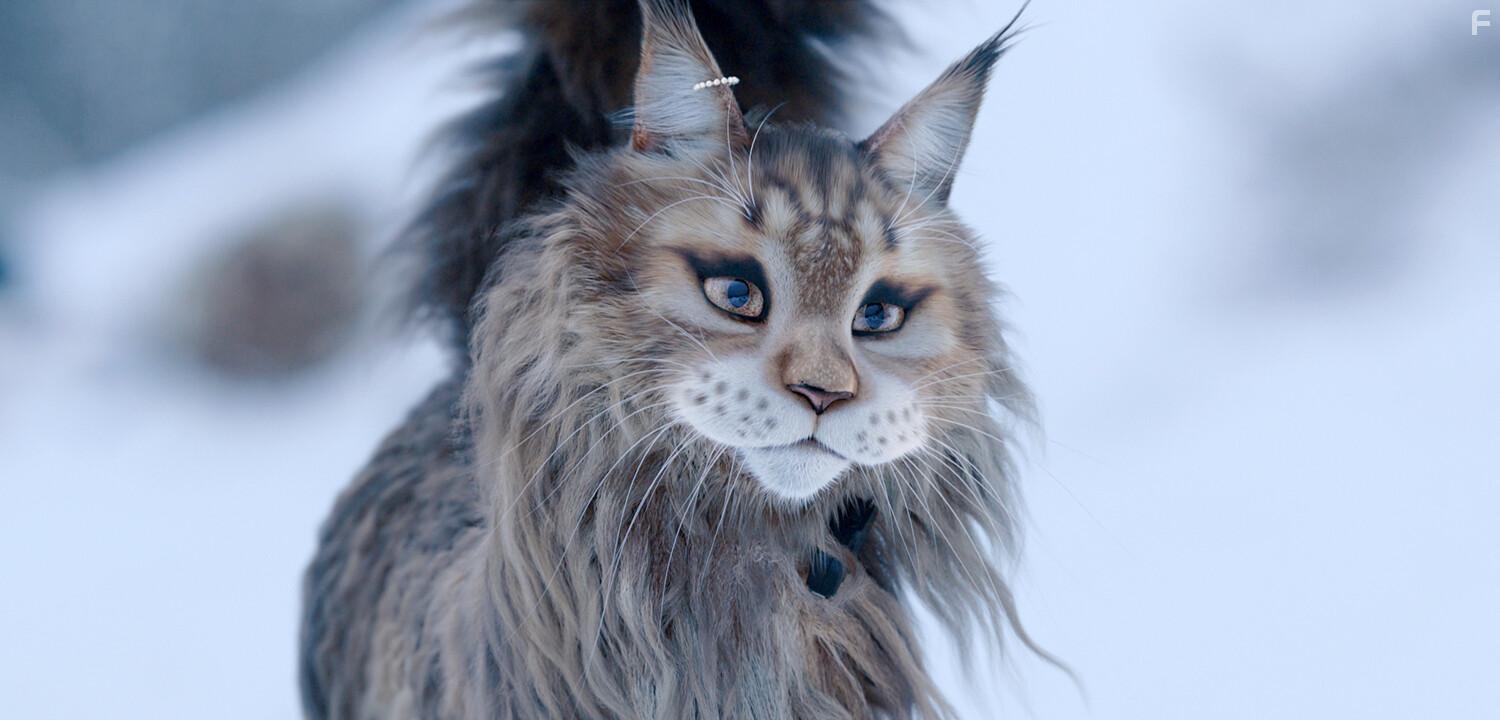 Кот и пёс #4