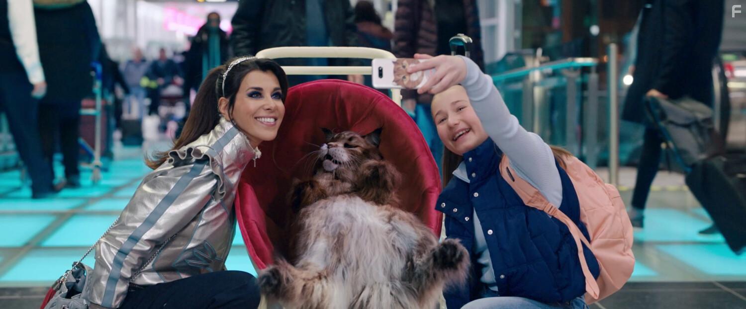 Кот и пёс #7