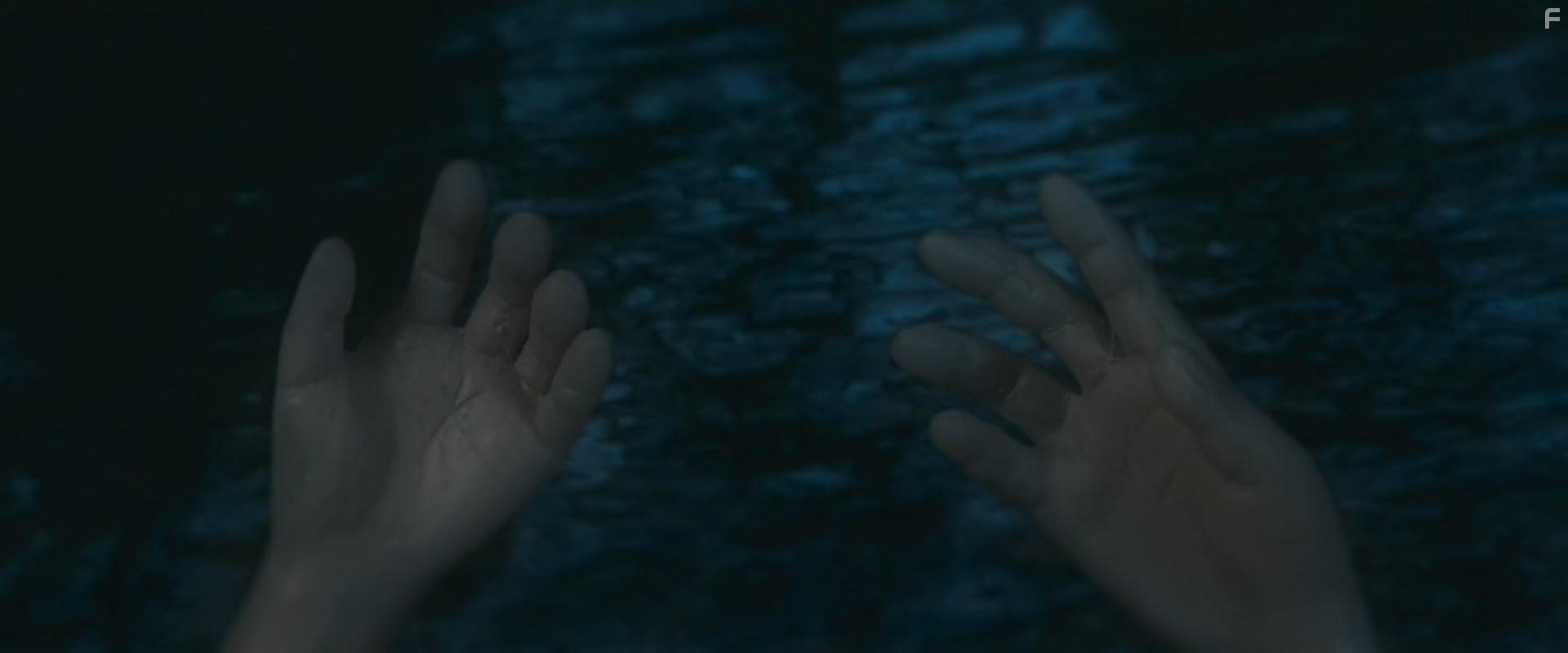 Howl from Beyond the Fog (2019)