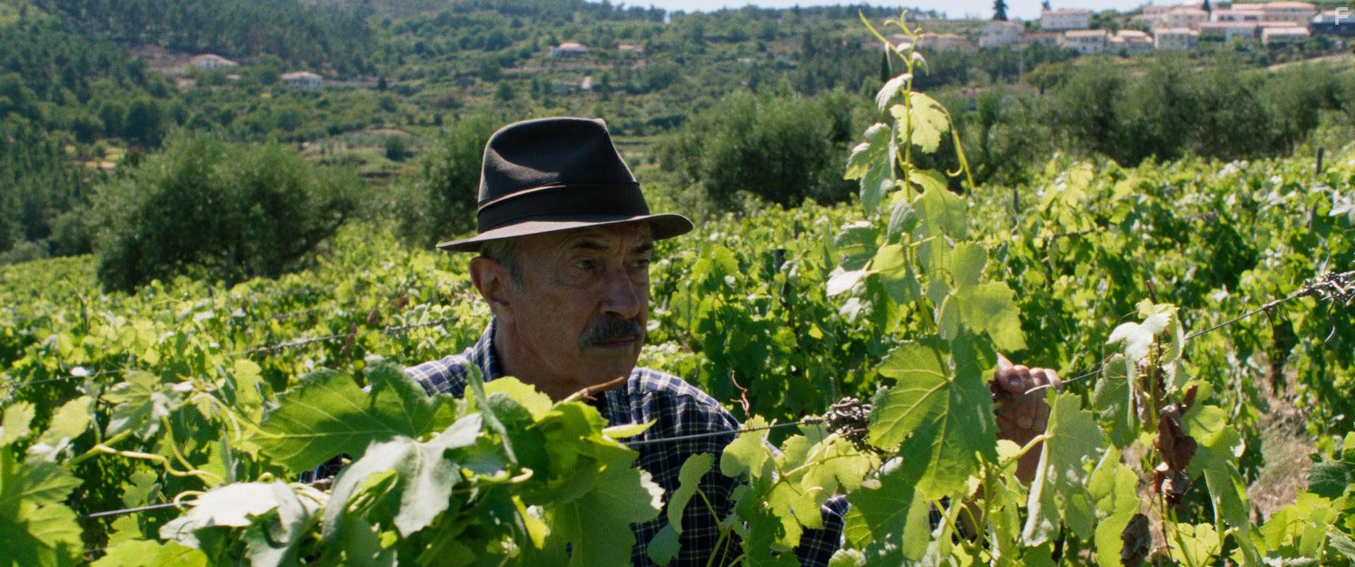 Ничего не случилось