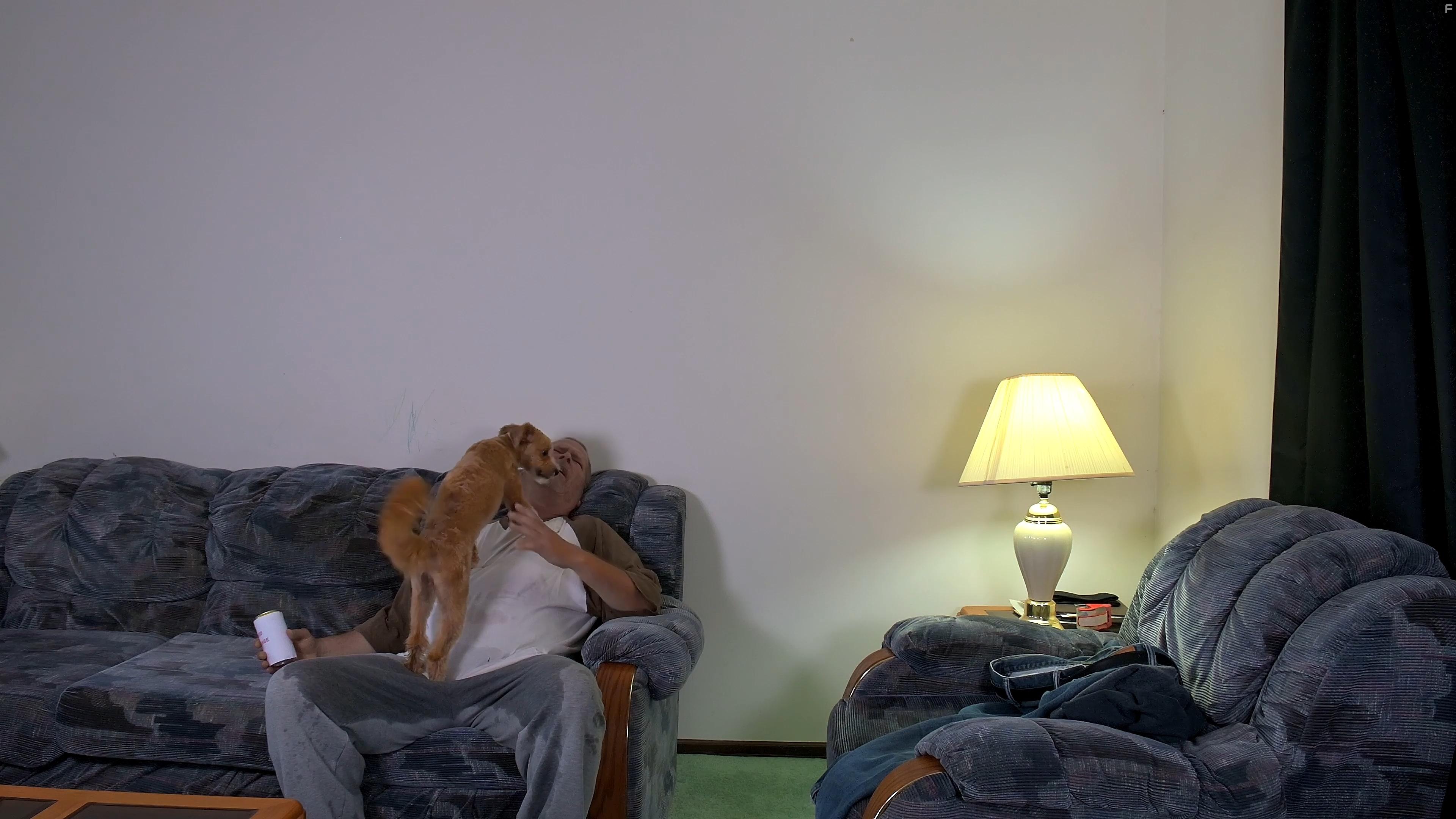 Brody The Dog and Chad Micah Johnson in Steve Jobless (2023)