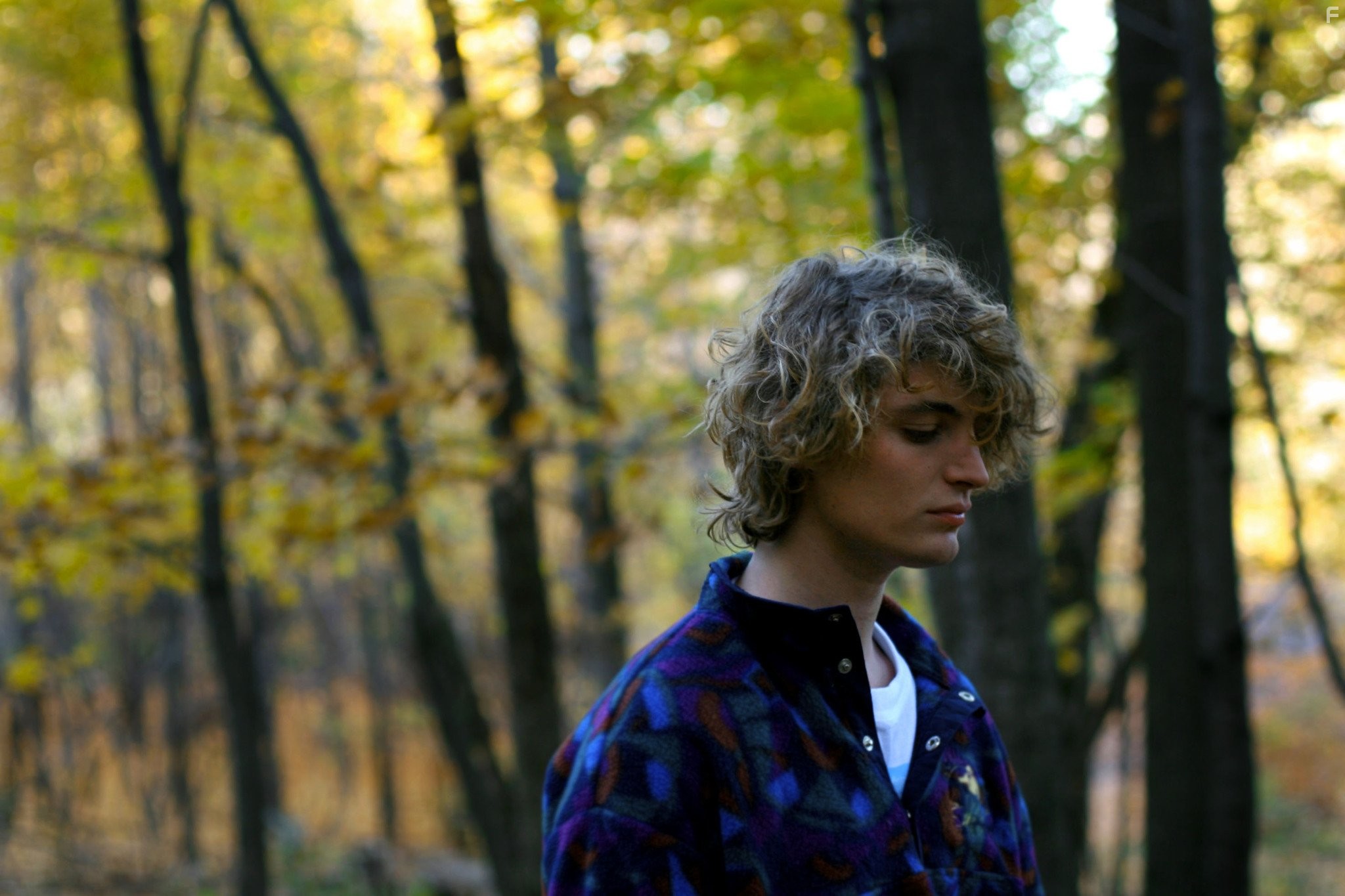 Niels Schneider in Boображаемая любовь (2010)