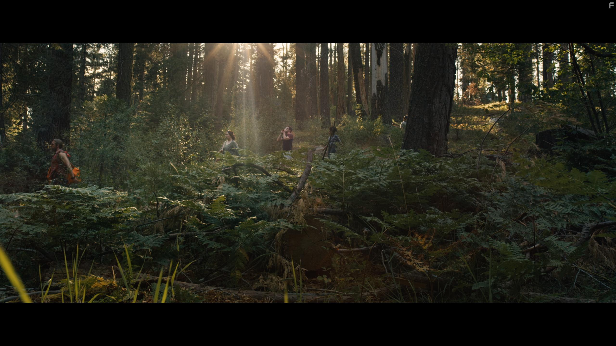 Paris Nicole, Radek Antczak, Holly Kenney, Brendin Brown, and Teddy Spencer in Stranger in the Woods (2024)