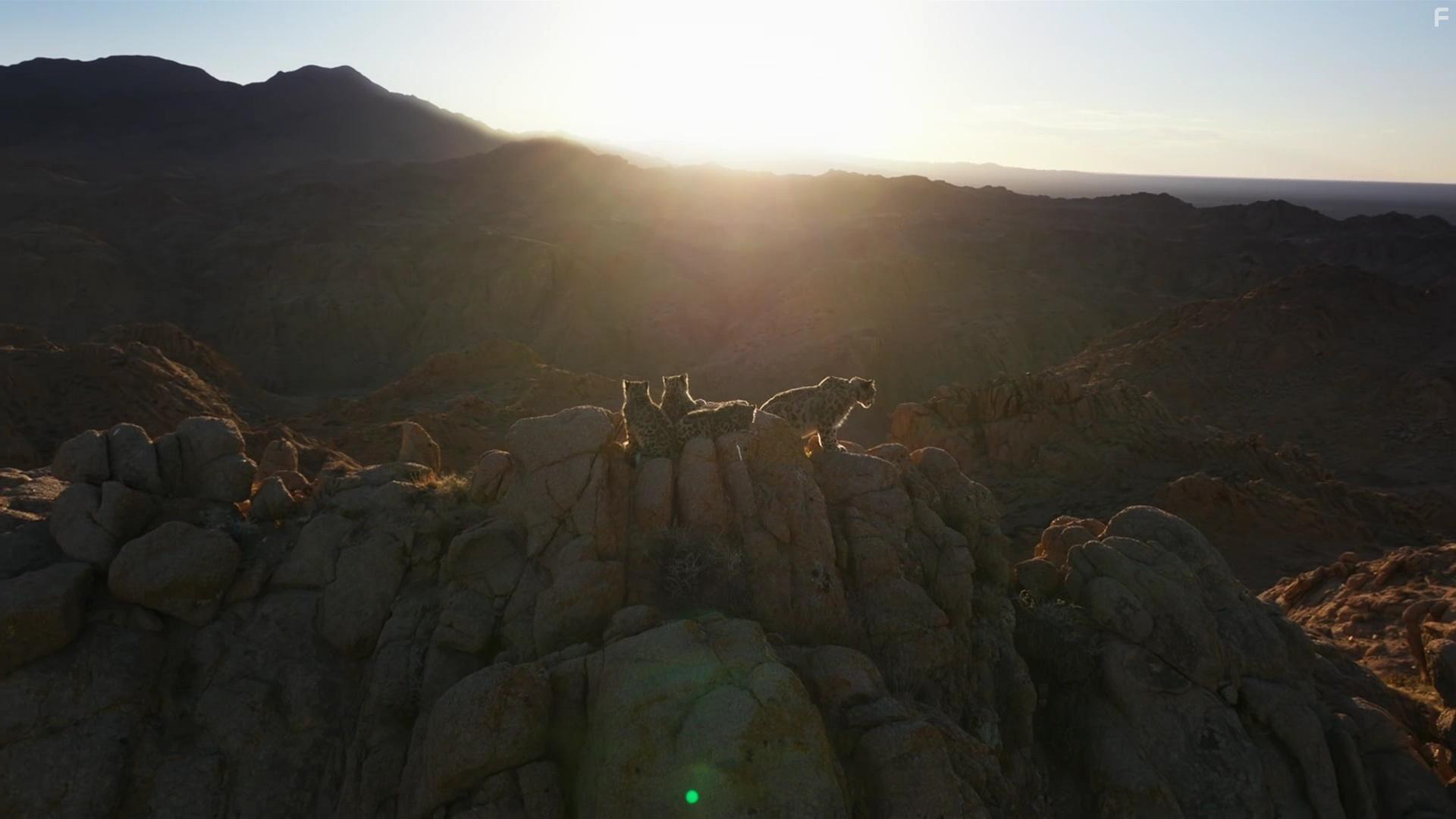 Planet Earth III: Extremes (2023)