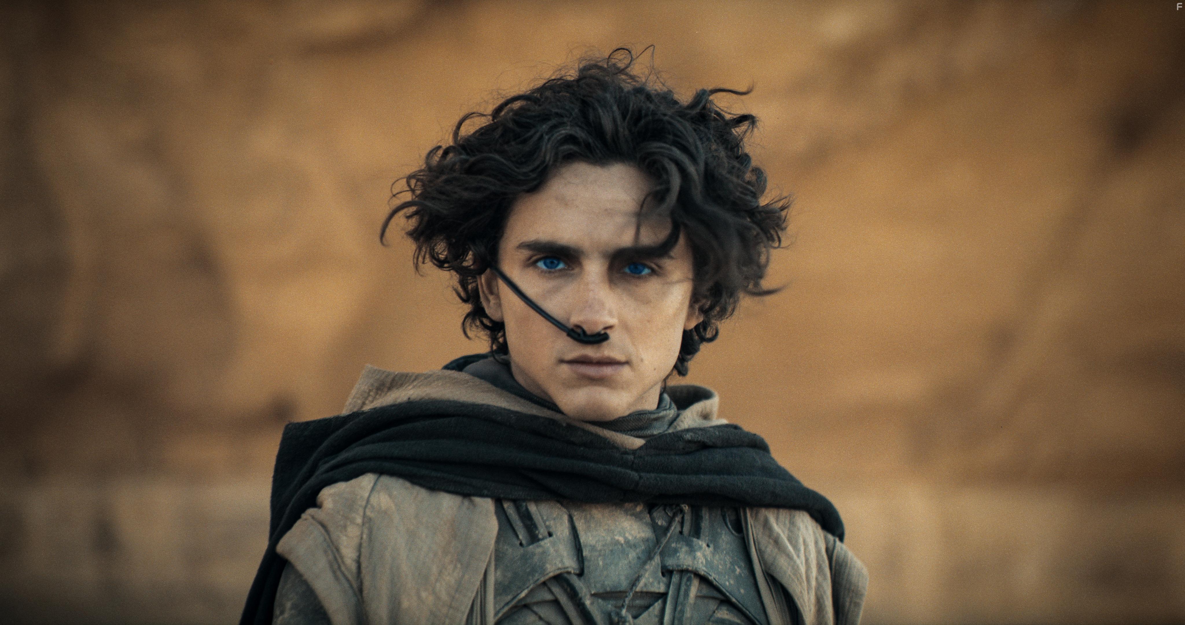 Timothe Chalamet in Dune: Part Two (2024)