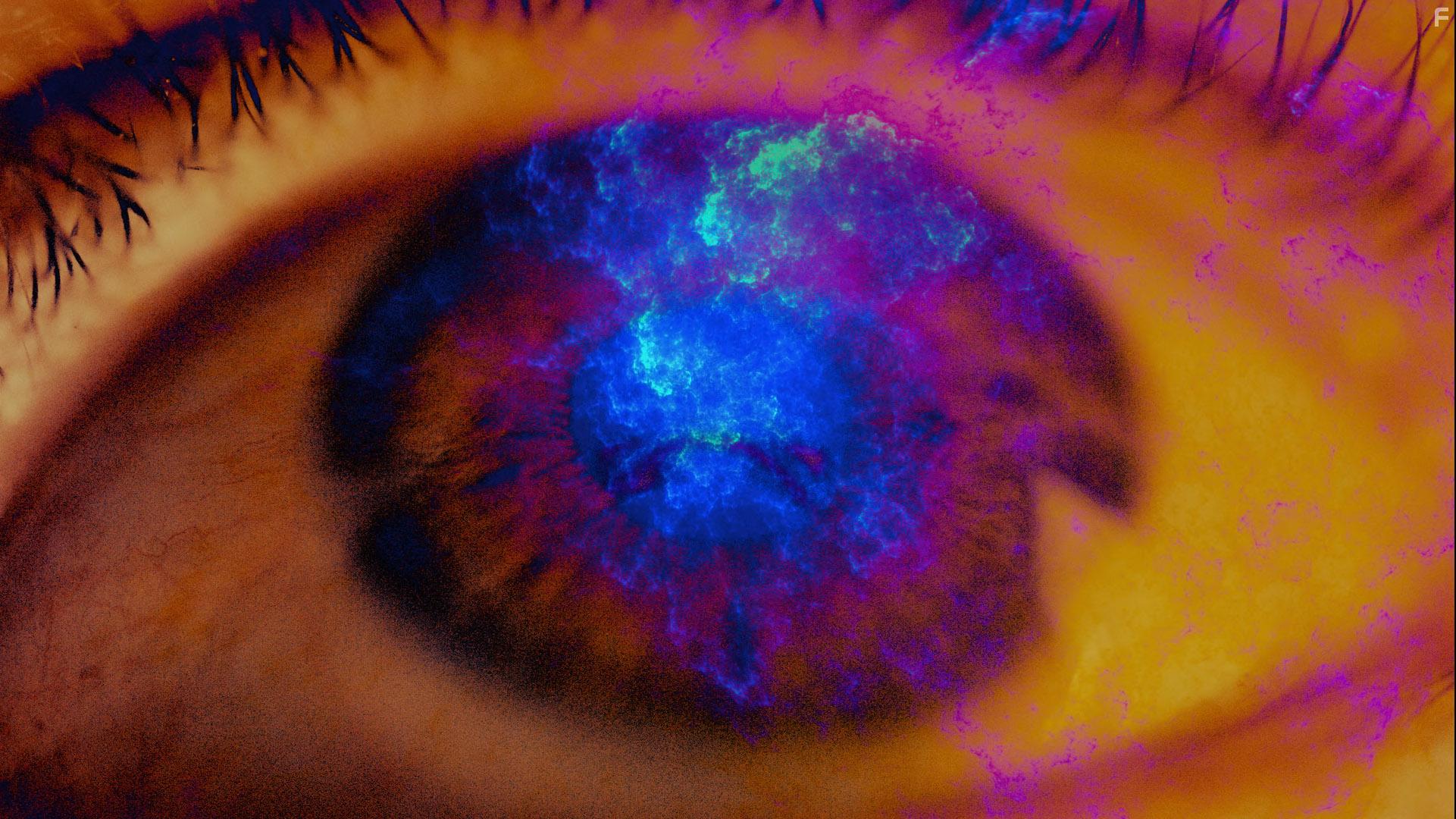 Contemplations: On the Psychedelic Experience (2022)