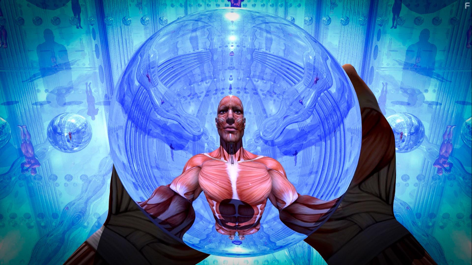 Contemplations: On the Psychedelic Experience (2022)