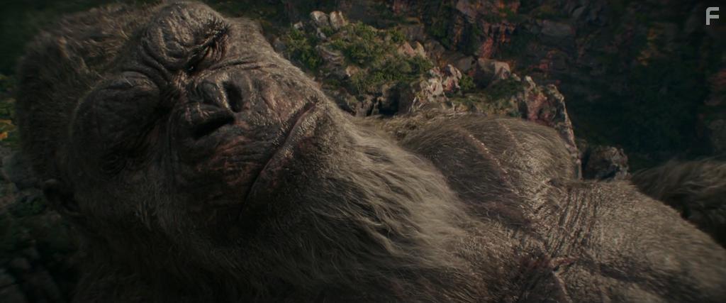 Godzilla x Kong: The New Empire (2024)