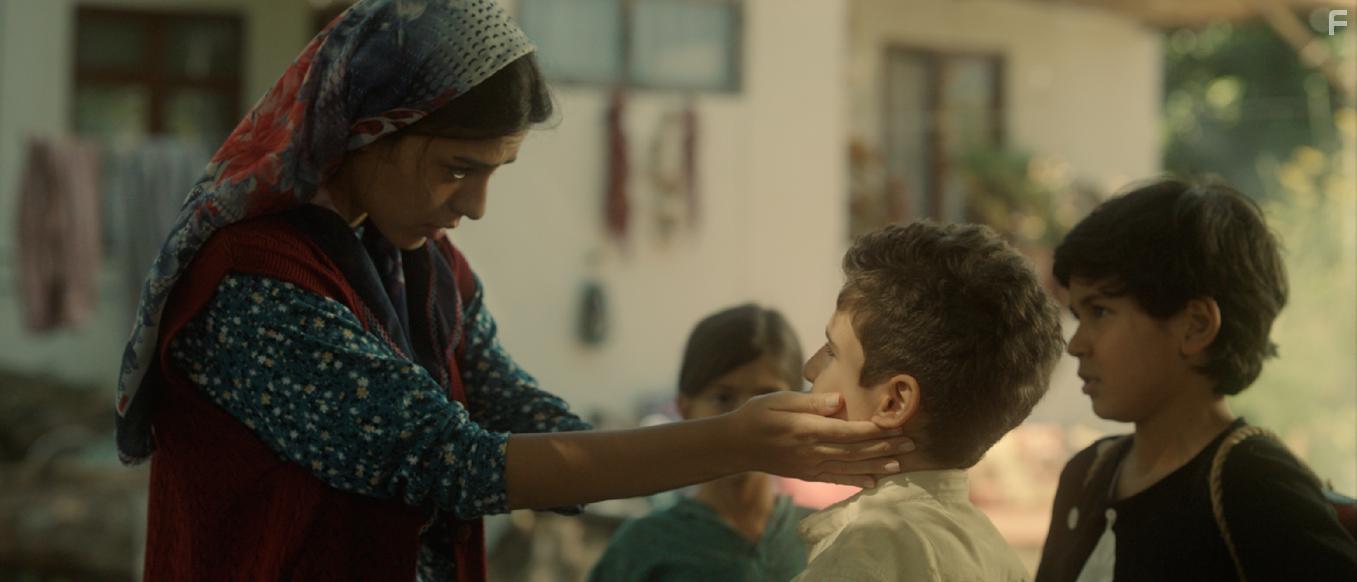 Несмотря ни на что