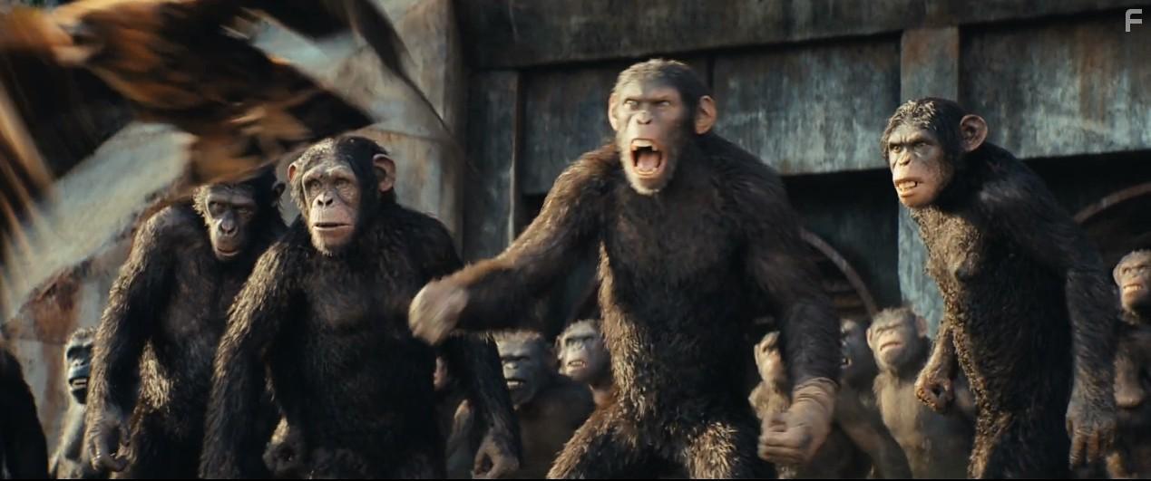Travis Jeffery, Owen Teague, and Lydia Peckham in Kingdom of the Planet of the Apes (2024)