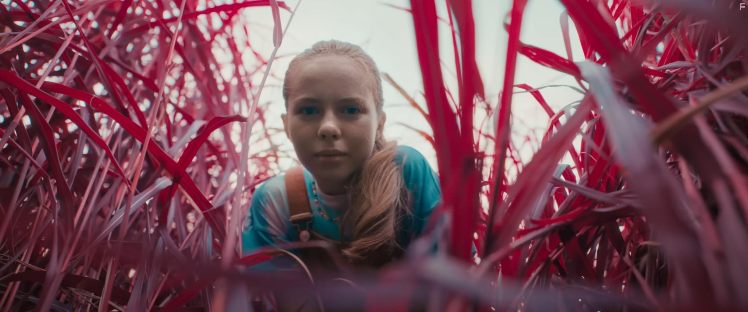 Antonina Litwiniak in Akademia pana Kleksa (2023)