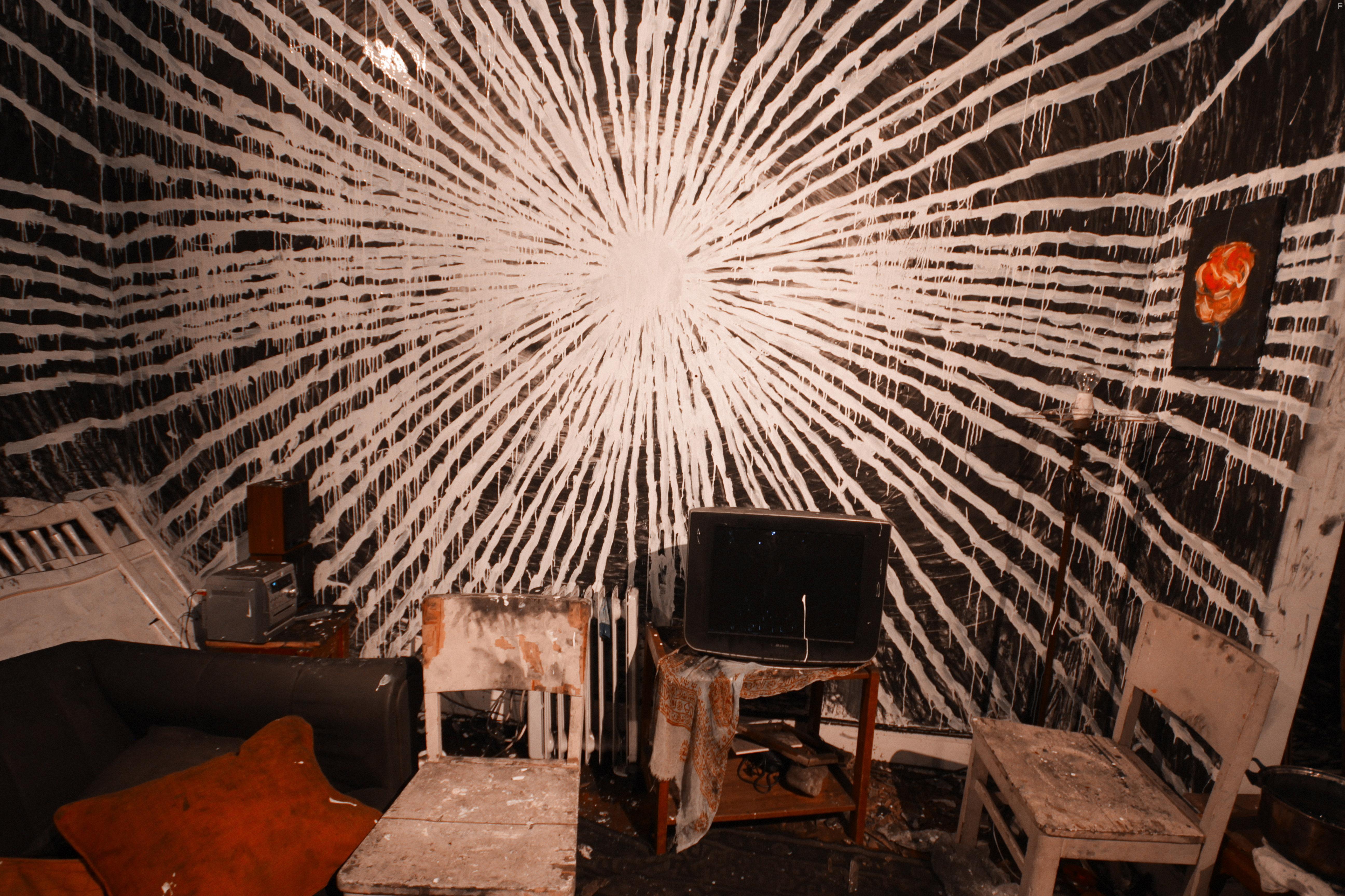 The Wolf House (2018)