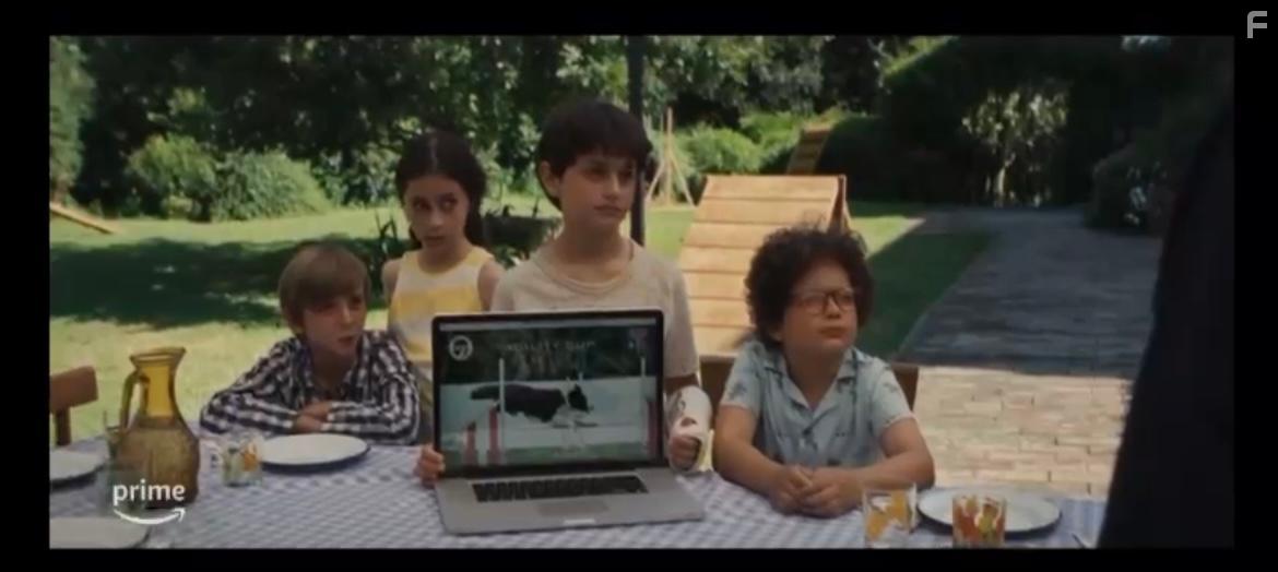 Академия четвероногих