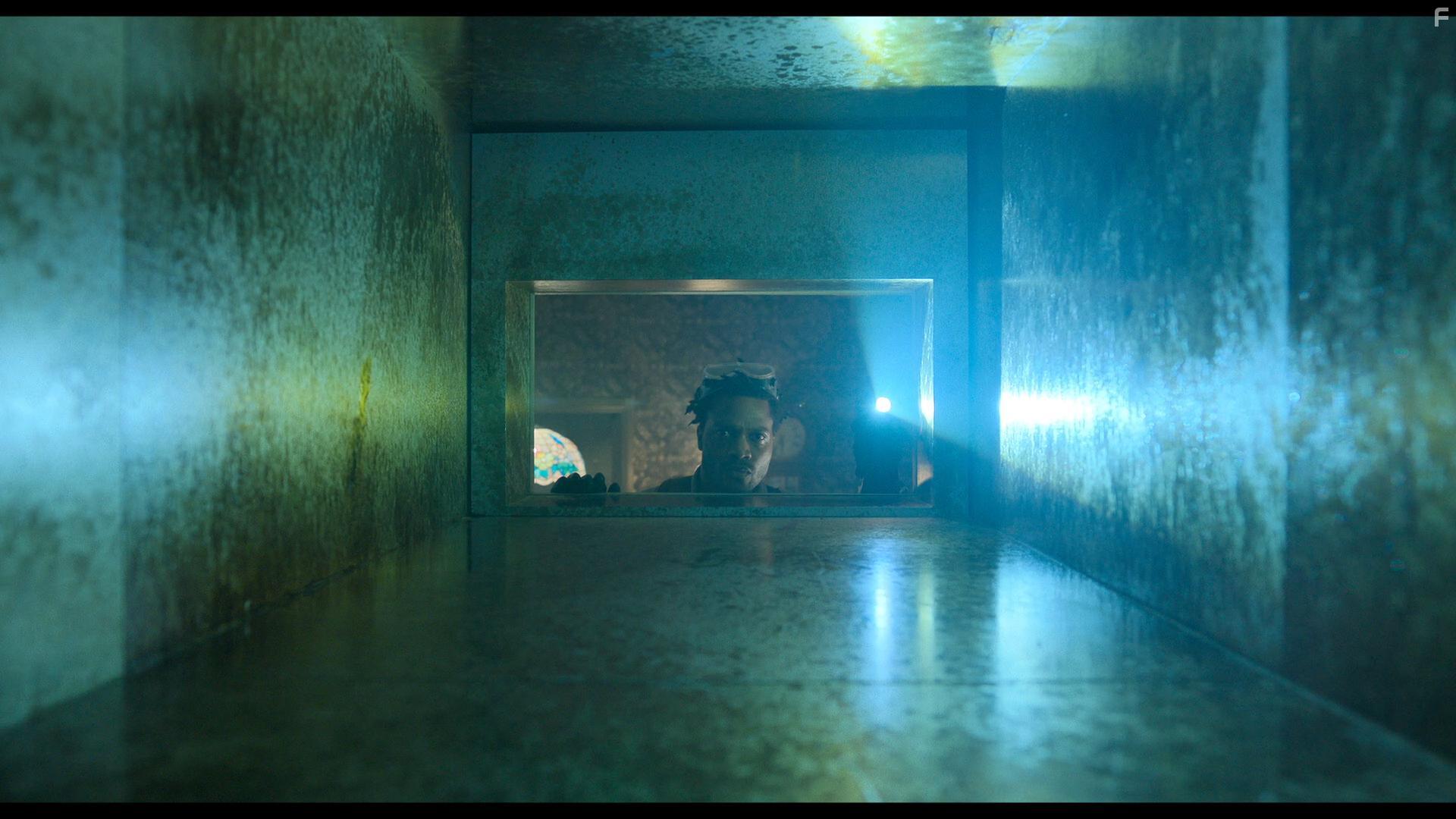 Черная вдова. Укус смерти