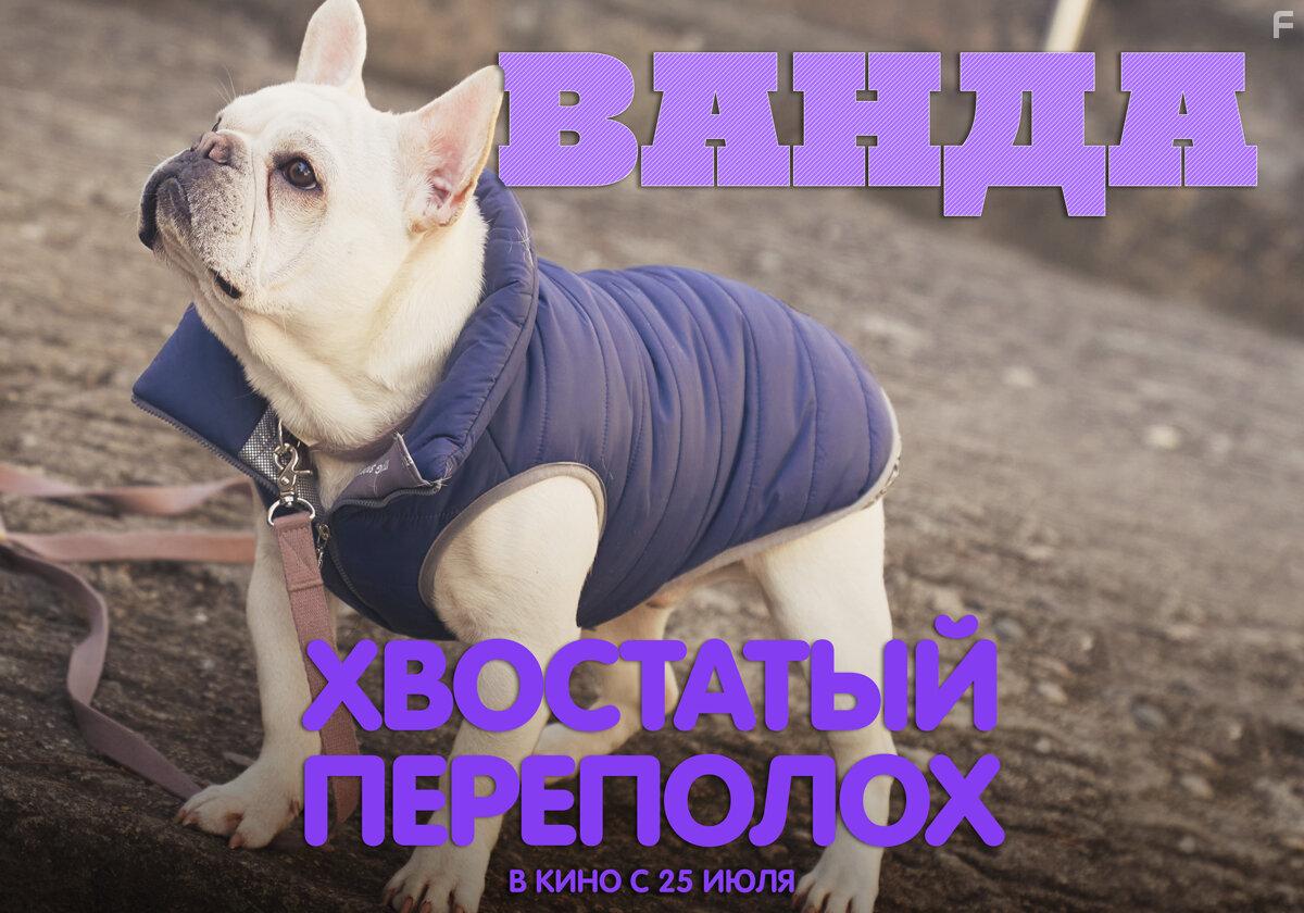 Хвостатый переполох